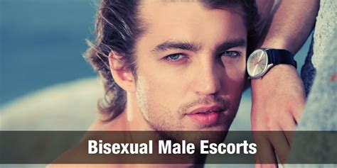 escort gay|The Male Escort Agency